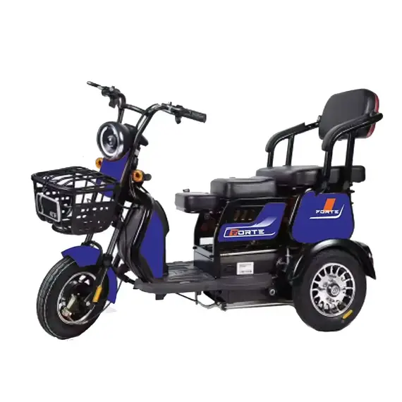 Електроскутер FORTE FAMILY-WN800 (синій), image 