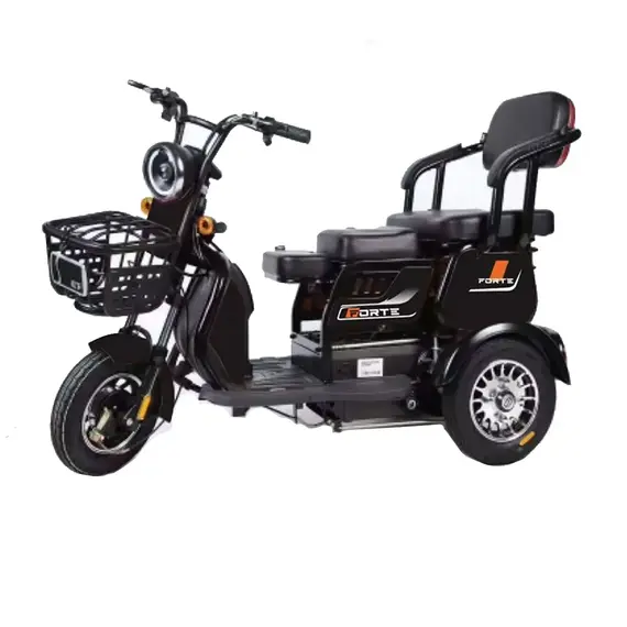 Електроскутер FORTE FAMILY-WN800 (чорний), image 