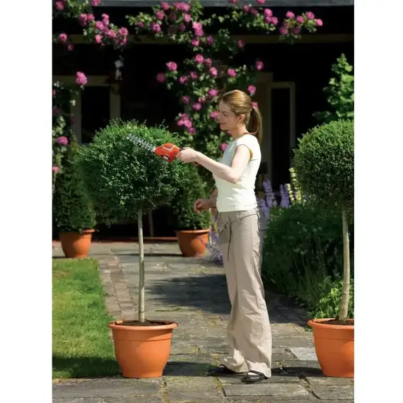 Кущоріз-ножиці акумуляторні BLACK+DECKER GSL700 з АКБ та ЗП, image _ab__is.image_number.default