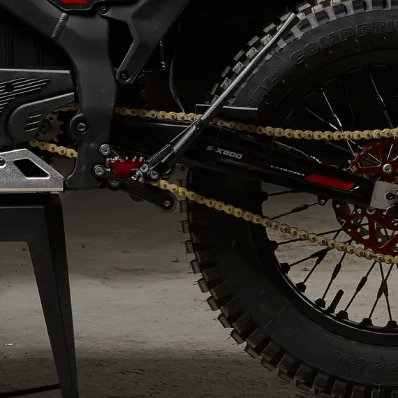 Електромотоцикл ARCTIC LEOPARD SNOW LEOPARD E-X 800 (OFF-ROAD), image _ab__is.image_number.default