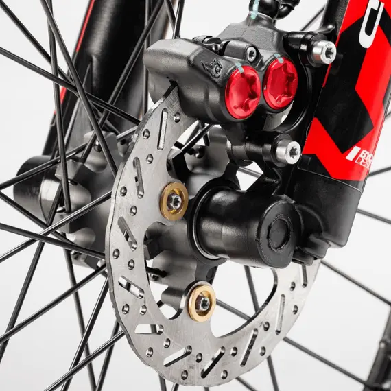 Электромотоцикл ARCTIC LEOPARD MOUNTAIN LEOPARD E-XT 500 (OFF-ROAD), фото , изображение 7