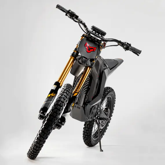 Электромотоцикл ARCTIC LEOPARD CLOUDED XE PRO S, фото , изображение 8