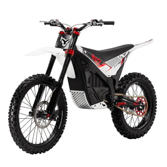 Електромотоцикл ARCTIC LEOPARD SNOW LEOPARD E-X 700 (OFF-ROAD), image 