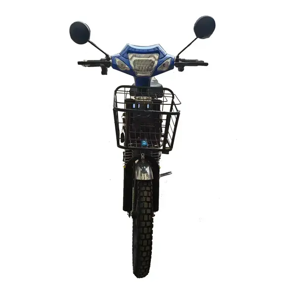 Електроскутер FORTE EM 219WS (коричневий), image _ab__is.image_number.default