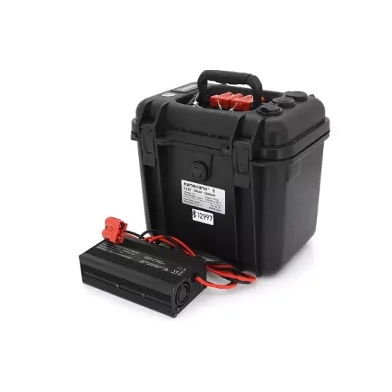 Литий-железо-фосфатный аккумулятор Voltronic LiFePO4 12.8V 100AH (4S1P/BMS-50A), фото 