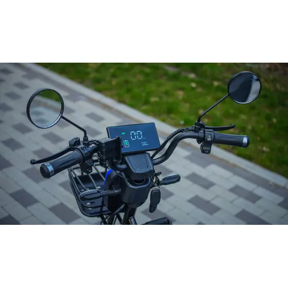 Електроскутер Forte FAMILY-WS600 Синій, image _ab__is.image_number.default