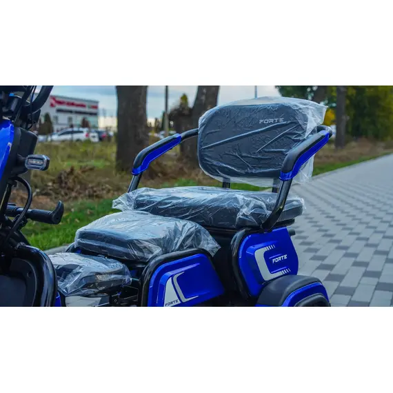 Електроскутер Forte FAMILY-WS600 Синій, image _ab__is.image_number.default