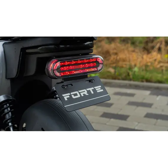 Электроскутер FORTE TRON Серый, фото , изображение 8