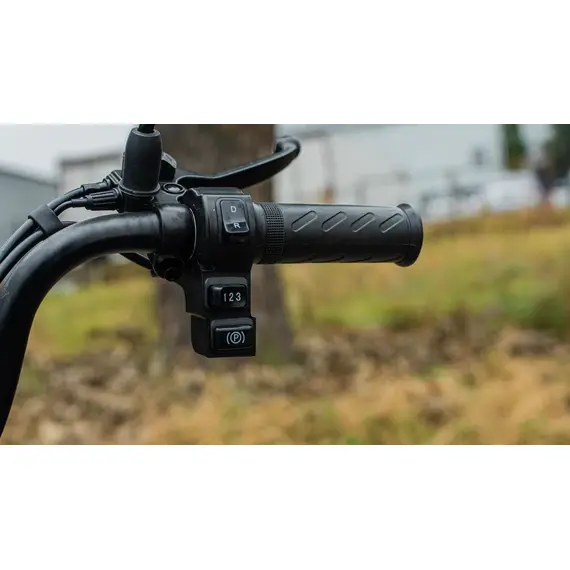 Электроскутер Forte S1-P600 (Черный), фото , изображение 13