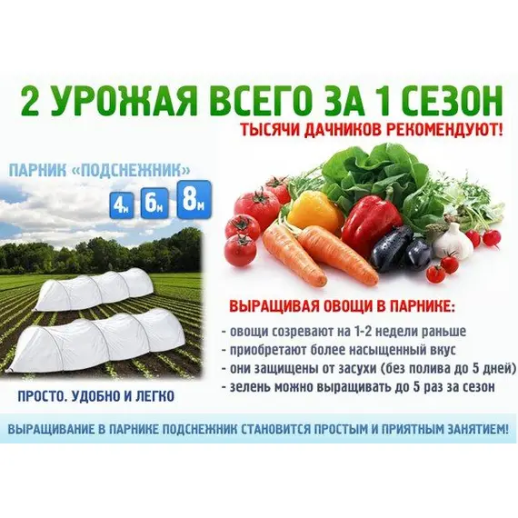 Парник Подснежник 4 метра, фото , изображение 4