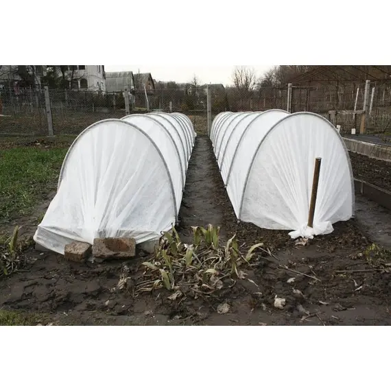 Парник Подснежник 8 метров, фото , изображение 3